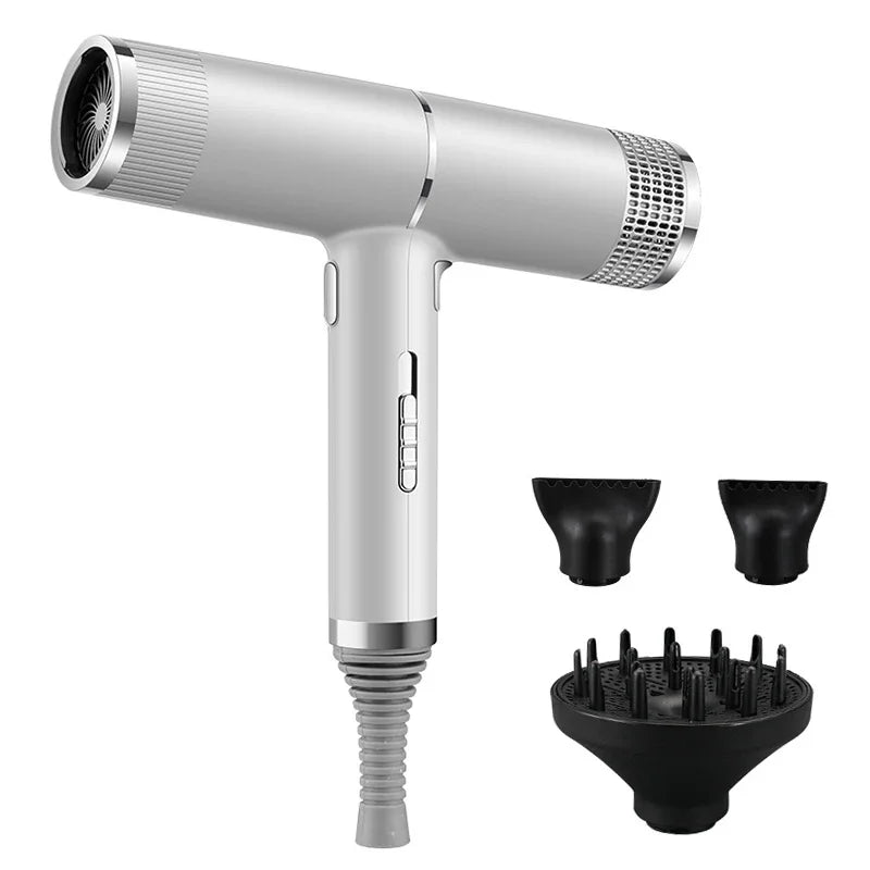 Professional Ionic Hair Dryer