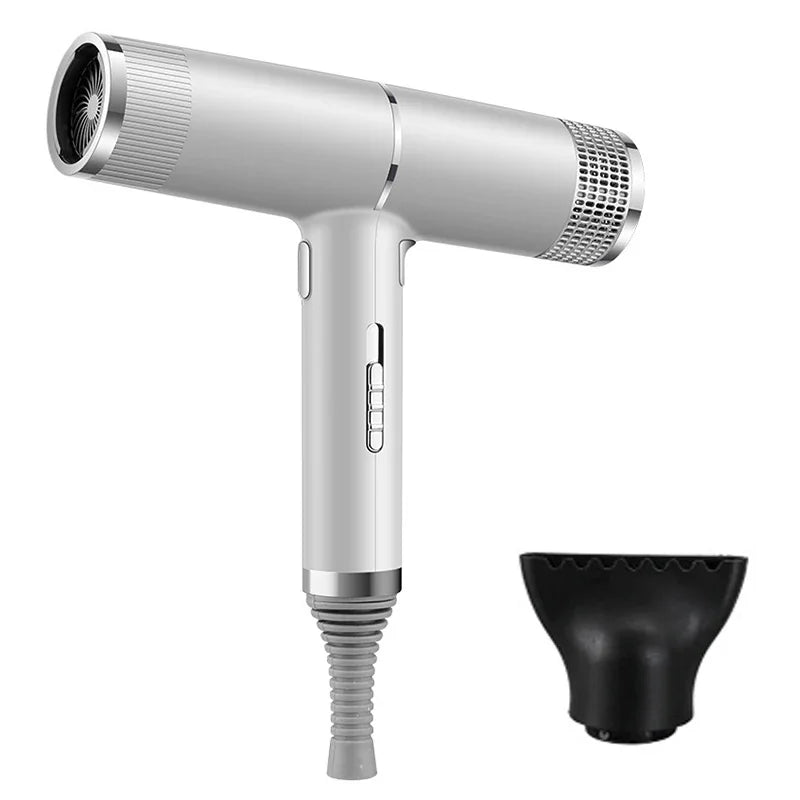 Professional Ionic Hair Dryer