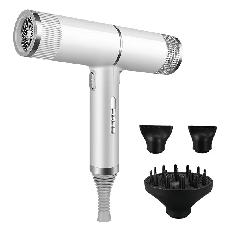 Professional Ionic Hair Dryer